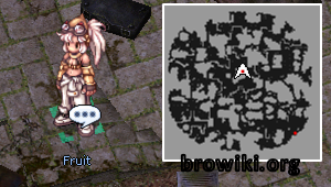 Fruit.png